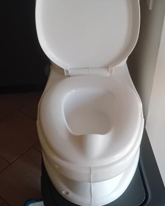 vasino a forma di waterino