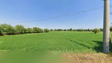 a Lonato del Garda Terreno Agricolo Irriguo di 11.