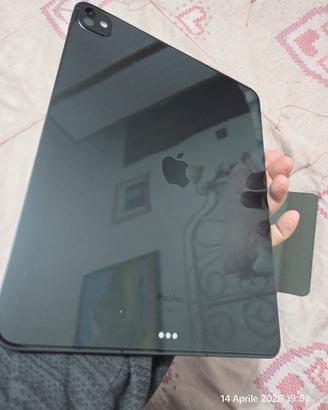 ipad pro 13 m4 256 gb cellular