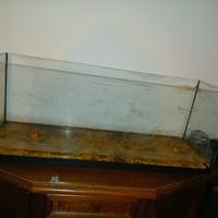 acquario 120 litri