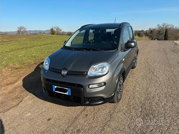 Fiat Panda Hybrid citylife