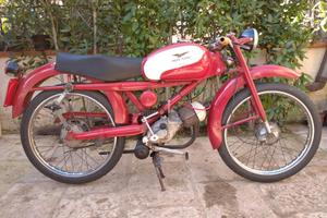 moto guzzi