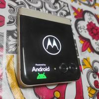 Motorola razr 50 2024