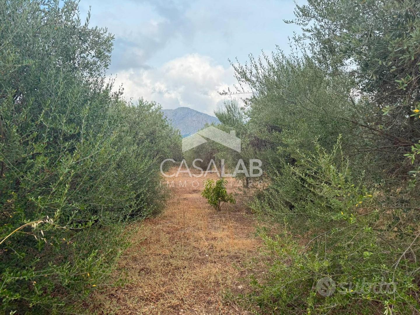 Terreno con magazzino - Altro