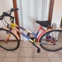 Bici Trubbiani 26 