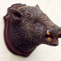 c ho tipo 6 teste di trofeo cinghiale veri