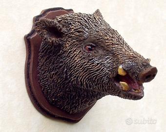 c ho tipo 6 teste di trofeo cinghiale veri