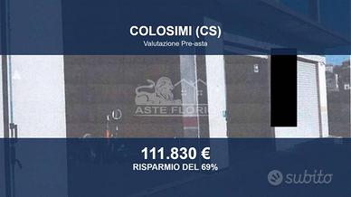 Immobile in asta di 560 m² a Colosimi
