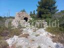 terreno-agricolo-ugento-80lidomarini-presiccvcg-
