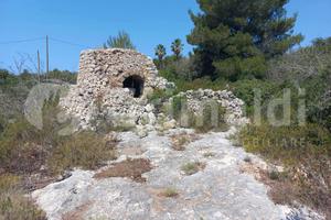 Terreno Agricolo Ugento [80lidomarini-presiccVCG]