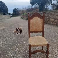 6 sedie in legno e tessuto