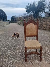 6 sedie in legno e tessuto