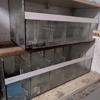 vasche acquario/terrario