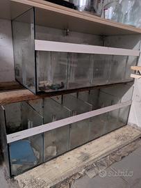 vasche acquario/terrario