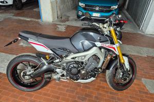Yamaha mt 09 rally 2014