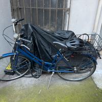 Bicicletta da donna single speed