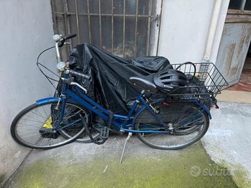 Bicicletta da donna single speed