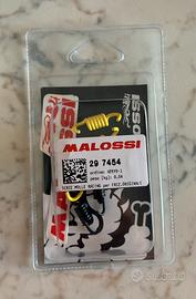 297454 KIT MOLLE FRIZ. (RACING MALOSSI PIAGGIO 2T)