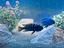Immagine 3