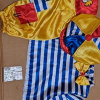 costume carnevale clown