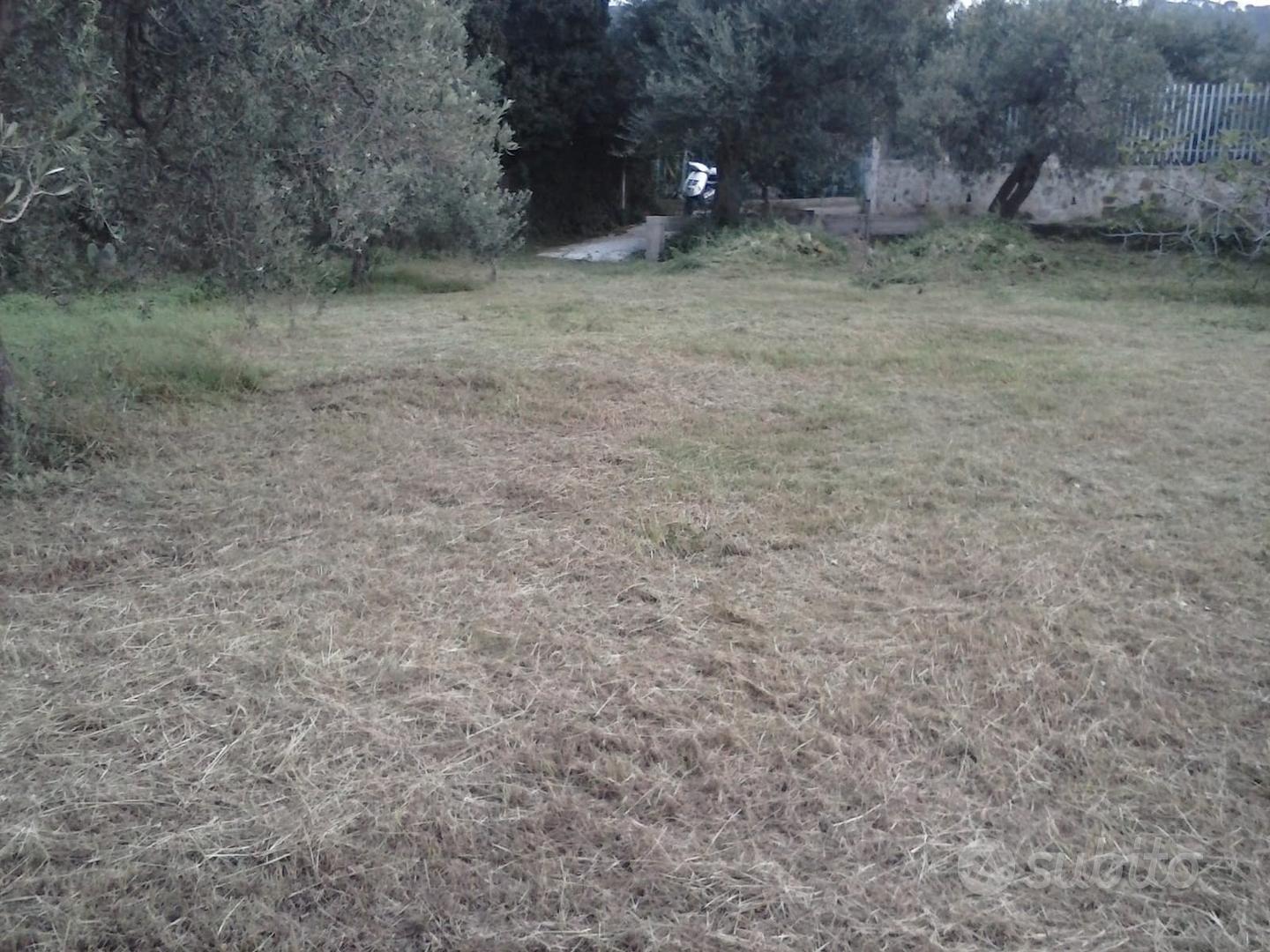 Terreno agricolo pianeggiante carrabile - Vista 3