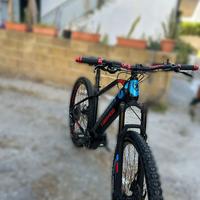 Bicicletta elettrica