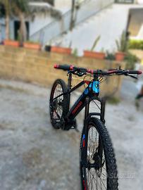 Bicicletta elettrica