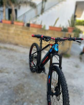 Bicicletta elettrica