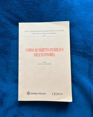 Corso di Diritto Pubblico dell’Economia