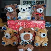 6 orsetti peluche con bauletto