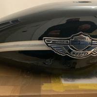 Carrozzeria 100th Harley Davidson 883-1200