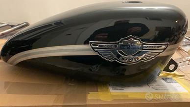 Carrozzeria 100th Harley Davidson 883-1200