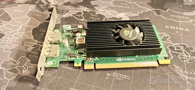 Scheda Video nVIDIA NVS310