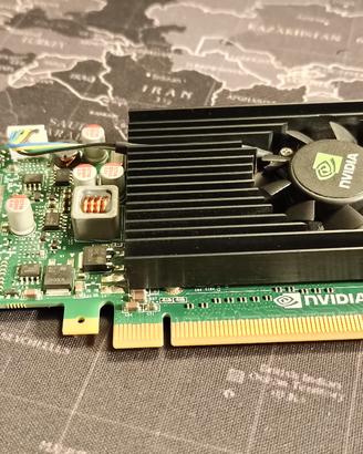 Scheda Video nVIDIA NVS310