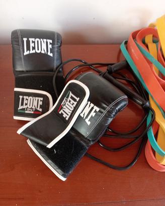 guanti allenamento al sacco Leone tg L