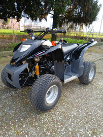 Quad adly 50 2t