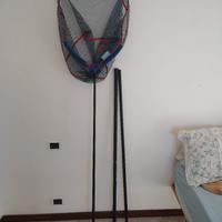 guadino e testa guadino 