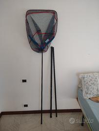 guadino e testa guadino 