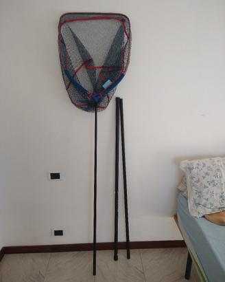 guadino e testa guadino 