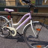 Bicicletta Lombardo raggio 24 cm
