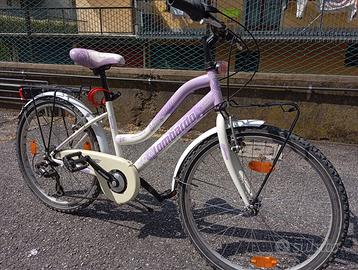 Bicicletta Lombardo raggio 24 cm