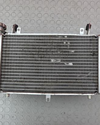 RADIATORE ACQUA BENELLI TRK 502 2016 2020 TRK502 2