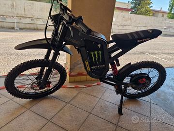 Bici elettrica 