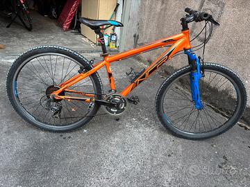 Rampichino