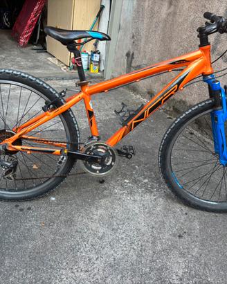 Rampichino