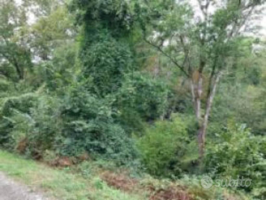 Immobile in asta di 8296 m² a Villafranca in Lunig - Vista 5