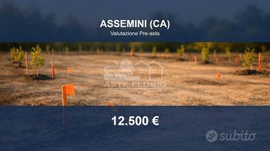 Immobile in asta di 1564 m² a Assemini