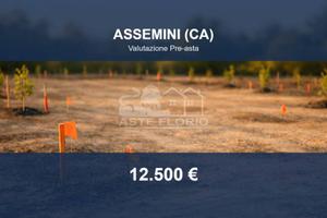 Immobile in asta di 1564 m² a Assemini