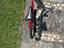 Immagine 6