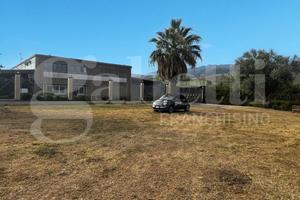 Azienda Agricola Pastorano [Cod. rif 3325173VCG]